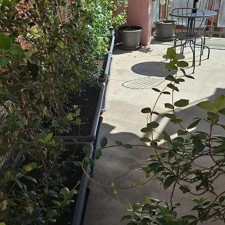 Lejlighedshotel Nasoni Di 3*