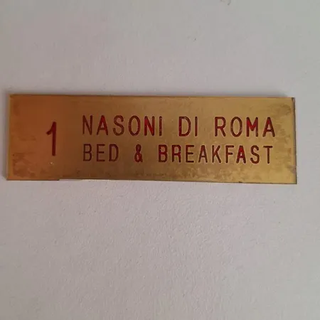 Appart hôtel Nasoni Di