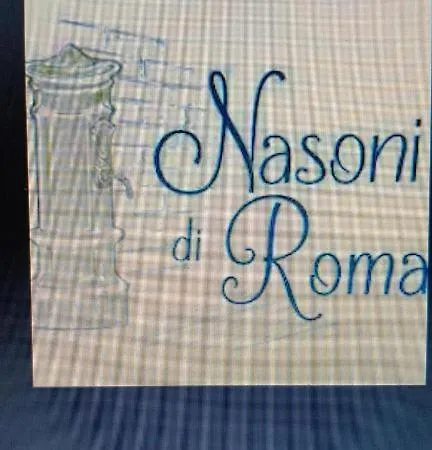 Aparthotel Nasoni Di 3*